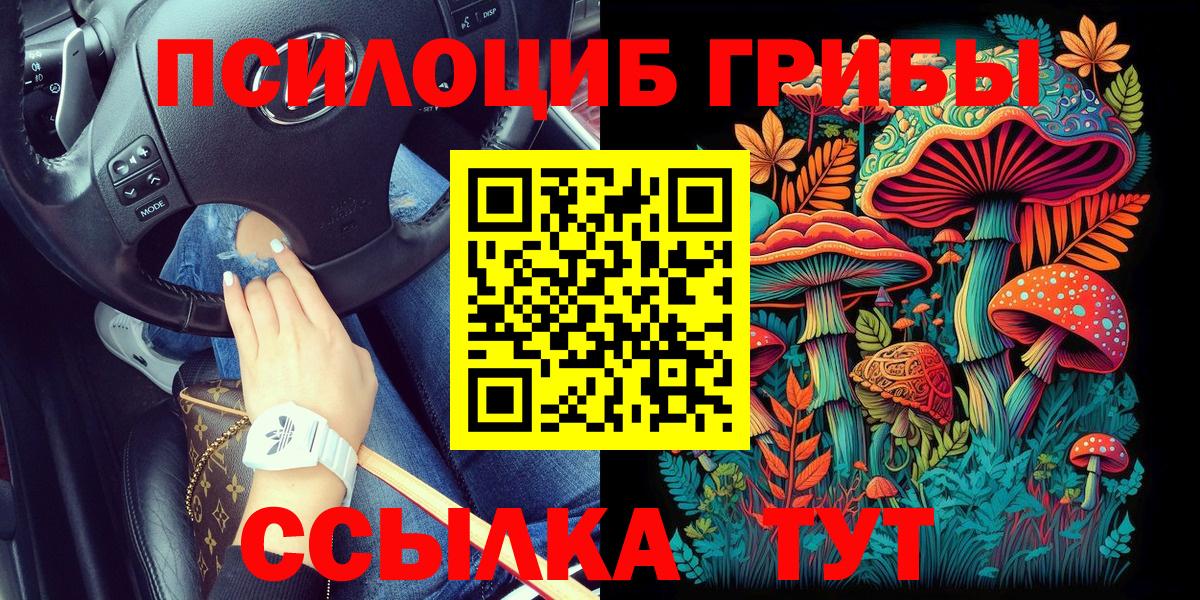 Галлюциногенные грибы Psilocybine cubensis Белогорск